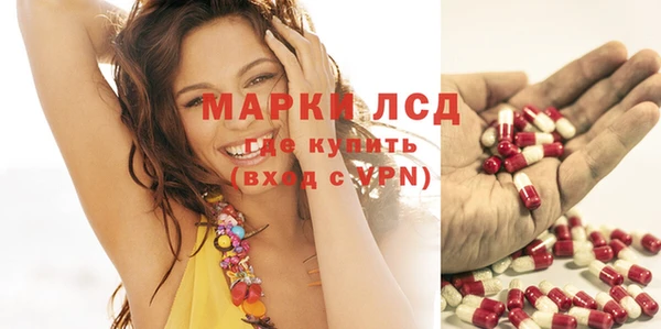 бошки Белокуриха
