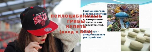 бошки Белокуриха