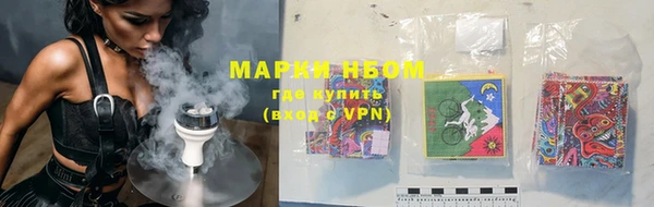 бошки Белокуриха