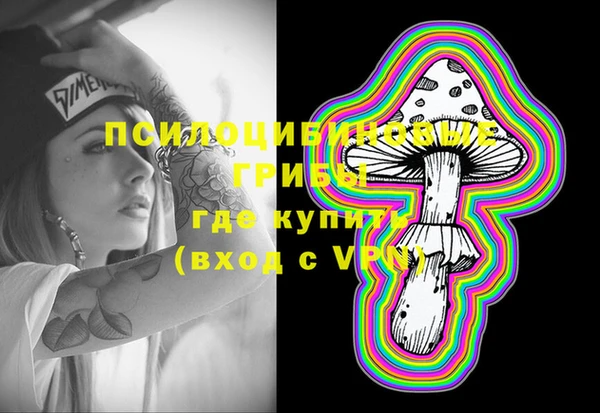бошки Белокуриха