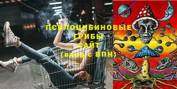 бошки Белокуриха