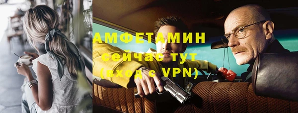 бошки Белокуриха